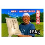 玄米 農家直送 山ちゃんの発芽玄米 15kg