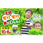セット 詰合せ 定期便 6ヶ月連続お届け 苦くな~い