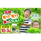 セット 詰合せ 定期便 3ヶ月連続お届け 苦くな~い