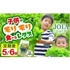 セット 詰合せ 定期便 6ヶ月連続お届け 苦くな~い