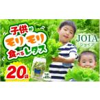 セット 詰合せ 苦くな~い 野菜ぎらいの子もモリモリ食べる…