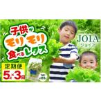 セット 詰合せ 定期便 3ヶ月連続お届け 苦くな~い
