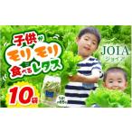 セット 詰合せ 苦くな~い 野菜ぎらいの子もモリモリ食べる…