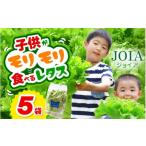 セット 詰合せ 苦くな~い 野菜ぎらいの子もモリモリ食べる…