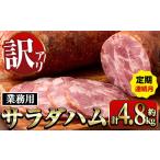 i1204-A サラダハム 約800g×2本×3回