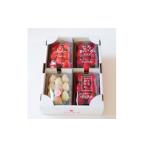 ふるさと納税 いちご 栃木県 佐野市  春イチゴ 栃木いちご4種詰め合わせセット(260g×4パック) 1663311