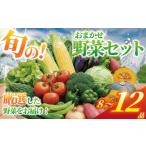 ねぎ 玉ねぎ 野菜 セット 8 12品