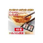 ふるさと納税 餃子 埼玉県 鶴ヶ島市 B027-25 プレミアム餃子48個（SAIBOKU×ぎょうざの満洲）