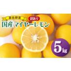 ショッピングふるさと納税 訳あり 不揃い ふるさと納税 みかん・柑橘類 レモン 大阪府 泉佐野市 国産マイヤーレモン 5kg 泉佐野産 フルーツ 果物 れもん 檸檬 産地直送 訳あり サイズ不揃い まとめ買い…