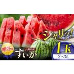 fu.... налог арбуз Nagano префектура Matsumoto город .. для Shinshu Matsumoto flat производство запад .2~3L 1 шт ~ высота .. ... сырой ..,........ лето. тест ~ I... арбуз овощи лето ....