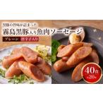 訳あり 霧島黒豚入り魚肉ソーセージ 20本