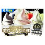 ふるさと納税 菓子 アイス 北海道 豊富町  2026年6月配送 とよとみ牛乳ソフトクリーム 季節のミックス1種類 120ml×12個 2026年6月配送 季節のミックス1種類 1…