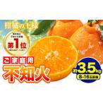 果物類 みかん 不知火 デコみかん デコポン