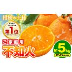 果物類 みかん 不知火 デコみかん デコポン