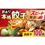 ふるさと納税 惣菜・レトルト 神奈川県 横須賀市 訳あり 本格 肉餃子 100個セット本格 餃子 ぎょうざ 国産 ギョーザ 野菜 わけあり ワケアリ 冷凍餃子 ぎょう…