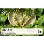 fu.... налог приправа * трава Yamagata префектура гора сторона блок TTK гора сторона васаби корень васаби 3шт.@(90g) Yamagata гора сторона бесплатная доставка tk-nwxx90 Okinawa * отдаленный остров к рассылка не возможно 