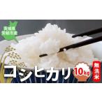 ふるさと納税 米 コシヒカリ 茨城県 常総市  10kg+干し芋90g 令和7年産 無洗米 コシヒカリ10kg 茨城県常総市産 精米｜米 お米 白米 ご飯 コメ こめ こしひかり…