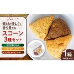 焼菓子 チョコレート 山鹿の恵み香り豊かなスコーンセット