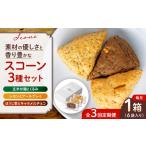 焼菓子 チョコレート 全3回定期便 山鹿の恵み香り豊かなス…