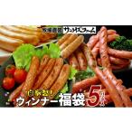肉 ソーセージ 自家製お楽しみウインナー