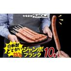 肉 ソーセージ ジャンボフランクフルト 110g×10本