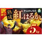 訳あり 針山さんちのさつまいも 紅はるか 5kg