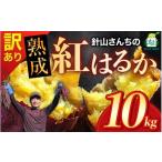 訳あり 針山さんちのさつまいも 紅はるか 10kg