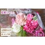 花 苗木 花束 赤ピンク系 3ヶ月 毎月1束 m56-05-SA3