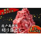 ふるさと納税 牛肉 愛知県 設楽町 1月発送限定の特別規格 国産ブランド牛 切り落とし 1.2Ｋｇ (200g×6） 小分け 段戸山高原牛 幻 牛 国産 牛肉 牛 スライス …