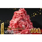 ふるさと納税 牛肉 愛知県 設楽町 国産ブランド牛 切り落とし 400g (200g×2） 小分け 段戸山高原牛 幻 牛 国産 牛肉 牛 スライス 地域 限定 小分け 大満足 赤…