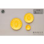 食器 グラス 皿 有田焼 黄色い器3点セット