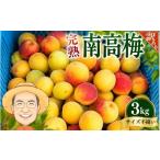 果物類 訳あり ご 完熟 南高梅 約3kg