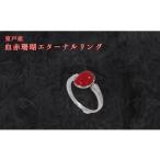 アクセサリー リング 珊瑚 血赤珊瑚 エターナルリング