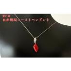 アクセサリー ペンダント 珊瑚 血赤珊瑚 コーストペンダント