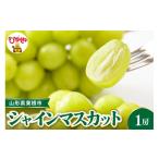 産シャインマスカット 約700g