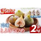いちじく 訳あり 冷凍 とよみつひめ 計2kg