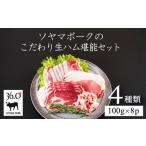 肉 ハム ソヤマポークの生ハム堪能セット