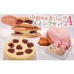 ケーキ カステラ チーズケーキ さくらんぼのミニチーズケー…