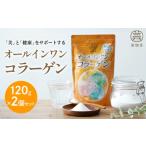 美容 オールインワンコラーゲン 120g