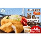 鷹ら島特製 松浦 鷹島のアジフライ フィレタイプ 40枚