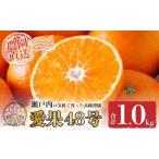ふるさと納税 果物類 みかん 愛媛県 松山市  先行予約 愛果48号 家庭用 お試し1kg(4〜5玉) 2026年3月上旬から発送 | あいか 新品種 紅まどんな × 甘平 紅プリ…
