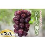 富士の輝き 約500g