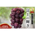 特選 富士の輝き 約600g