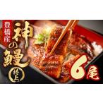 ふるさと納税 うなぎ 愛知県 豊橋市  通常お届け うなぎの新ブランド、開幕。『神の鰻』6尾 国産 特上 選べる お届け時期 鰻 うなぎ unagi ウナギ 蒲焼 長蒲焼…