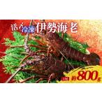 fu.... налог креветка лангуст три слоя префектура юг Исэ город блок рефрижератор Исэ город море . примерно 800g 1 хвост .. очень большой Исэ город .. лангуст лангуст море ... креветка ebi.... морепродукты морепродукты море производство...