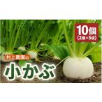 人参 大根 他根菜 村上農園産 小かぶ5パック入り 2玉×5袋