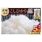 米 コシヒカリ 6ヶ月定期便 精米 5kg
