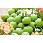 果物類 訳あり ご 古城梅 約10kg