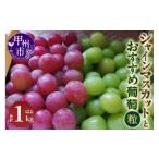 ショッピングふるさと納税 シャインマスカット ふるさと納税 ぶどう マスカット 山梨県 甲州市 シャインマスカットとおすすめ葡萄（粒）合計1kg以上 2026年発送 （NSF）A08-961 シャインマスカット 葡萄 ぶ…