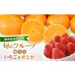 fu.... налог фрукты. ... префектура Shizuoka город Hamamatsu 2027 год 2 месяц отправка .. фрукты ... клубника &. или .... кроме того, прекрасное платье .. примерно 260g1 упаковка . или 4 шт примерно 800g.....